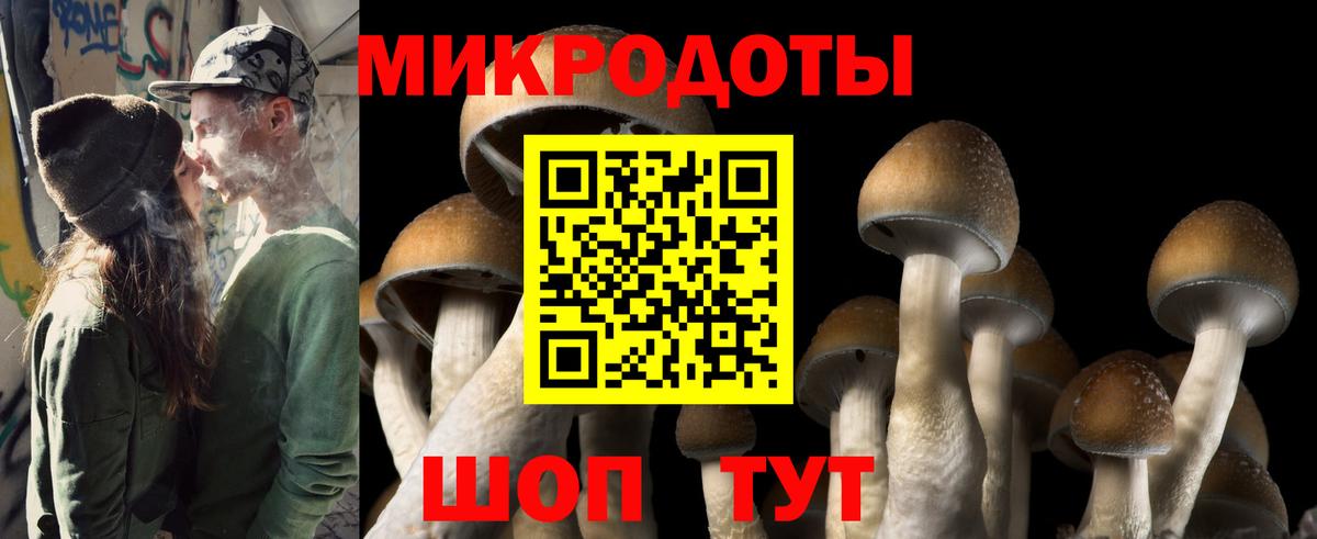 Галлюциногенные грибы Cubensis  Вход с VPN  Краснознаменск 
